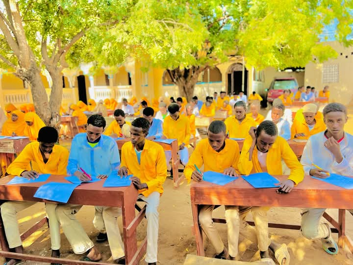Students studying at outdoor desks under trees