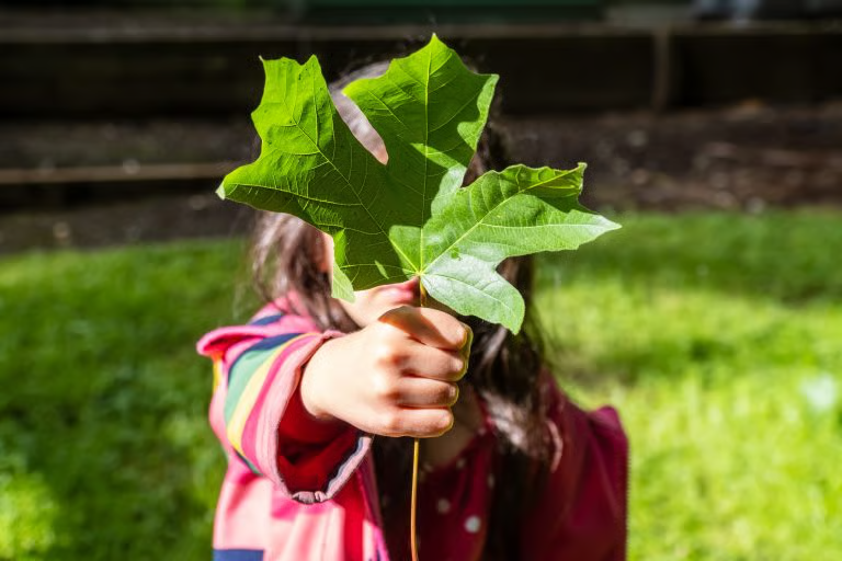 A child holding a large green leaf, representing environmental awareness